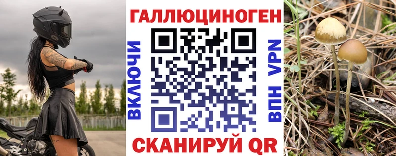 MEGA маркетплейс  Арамиль  Галлюциногенные грибы Magic Shrooms 